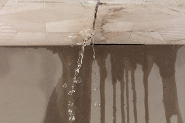 Professional Flood Damage Cleanup technician working in Newport, OH